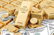 Điểm tin sáng: USD phục hồi, vàng giảm mạnh