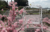 Dọn dẹp các quán cà phê, quán nhậu ở dự án lấp sông Đồng Nai