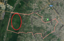 TP.HCM: Kiến nghị chuyển 384,2ha đất cây xanh tại Xuân Thới Thượng sang đất đô thị