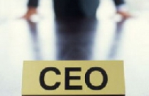 CEO tài chính, thu nhập bao nhiêu? 