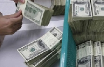 Không có cơ sở nói doanh nghiệp đang gom USD