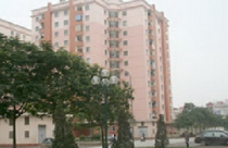 Rào cản thu hút dòng ngoại tệ vào thị trường bất động sản 