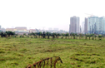 Từ năm 2012, đất lấn chiếm chịu thuế suất 0,2%