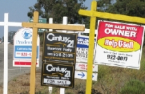 Sang Mỹ kinh doanh bất động sản 