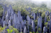 Trục Hồ Tây - Ba Vì nên đặt là đường Độc lập' 