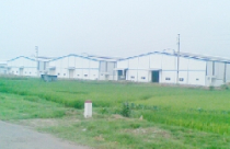 Triển lãm Bất động sản Đà Nẵng năm 2010 