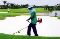 Báo cáo về sân golf ở TP.HCM:  Chậm tiến độ sẽ bị thu hồi 