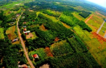 Bình Phước kêu gọi thu hút đầu tư 