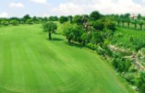 Đầu tư sân golf phải do Thủ tướng quyết định 
