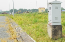 Khu dân cư tái định cư Cảng sông Phú Định: Cao tối đa 12 tầng 