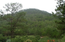 Lâm Đồng đột xuất thanh tra các dự án du lịch