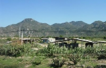 Nhiều dự án đầu tư bị rút giấy phép 