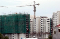 Trầm lắng nhưng sẽ “ấm” cục bộ 