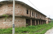 Xây chung cư cho...bò ở 