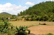 Lâm Đồng: Xem xét việc thu hồi sân golf K’rèn