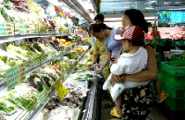 CPI cả năm 2010 tăng khoảng 8%