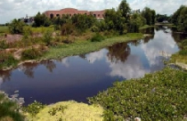 Duyệt QHCT 1/500 khu tái định cư và nhà ở công nhân khu công nghiệp Tân Phú Trung