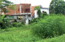 Lâm cảnh nửa xoá nửa treo 