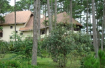 Lâm Đồng: Kêu gọi đầu tư nhiều dự án BĐS lớn 