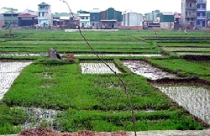 Chính sách thuế đối với Quỹ phát triển đất