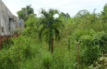 Đất thổ cư tăng giá do “cò” 