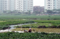 Miễn, giảm thuế sử dụng đất nông nghiệp: Lấy ngắn nuôi dài 