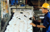 Thị trường chứng khoán: 'Điểm sáng' quý 3 