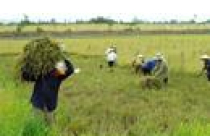 Chuyển mục đích sử dụng đất để thực hiện 3 dự án tại Thanh Hóa 