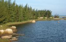 Hiệu quả cao khi đầu tư vào Condo Hotel 