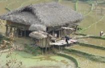 Hỗ trợ nhà cho hộ nghèo đô thị 