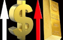 Liên hệ giữa vàng và tỷ giá 