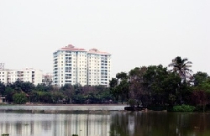 “Mồi câu” màu xanh...