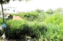 Mua đất trong dự án phân lô hộ lẻ ở Gò Vấp, Tp.HCM: Dân chịu thiệt