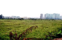 Năm 2011 sẽ có chỉ số cho thị trường bất động sản 