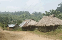 Những "nhà ma” mọc sau một đêm