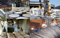 Thép và ximăng đang bất hợp lý trong quy hoạch 