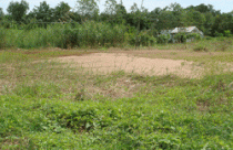 Bạc Liêu: Lập khu công nghiệp để nhìn? 