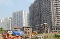 Có hạn chế được nạn “thổi” giá? 