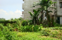 CTCP KDPT Nhà và Đô thị Hà Nội: Bán đất... giấy cho khách hàng!? 