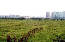 Hà Nội: Yêu cầu các quận, huyện báo cáo về đấu giá QSD đất 