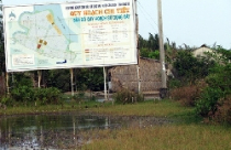 Long An: Đất lúa là "chùm khế ngọt"