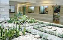 TPHCM - Chương trình nhà ở tái định cư. Bài 4: Nhà tái định cư kiểu mẫu 