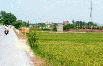 Chưa cấp chủ quyền vì lúng túng xác định nguồn gốc đất