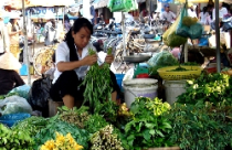 CPI tháng 11 được dự báo tăng 0,8% 