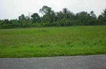 Khó khăn trong xác định đơn giá thuê đất của các dự án FDI 