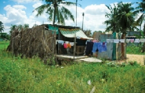 Làm sổ hồng, tách thửa : Tắc vì những quy định bất khả thi 