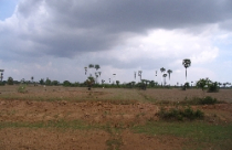 Thu hồi đất của 13 đơn vị vi phạm Luật đất đai 