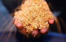 Vàng còn 34,50 triệu đồng/lượng 