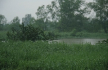 Vì sao lấy đất dự án công viên để xây nhà ở? 