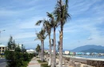 Bố trí tái định cư dự án tuyến đường ven biển Sơn Trà - Điện Ngọc 